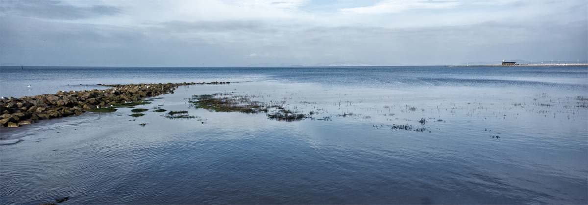 Spring Tide - Graham Dean